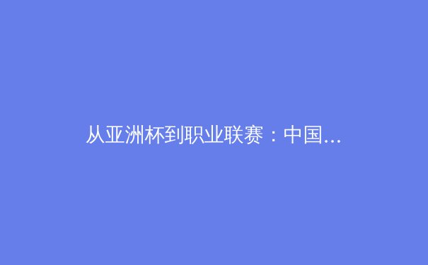 从亚洲杯到职业联赛：中国体育产业的结构性变革与未来展望 - 3