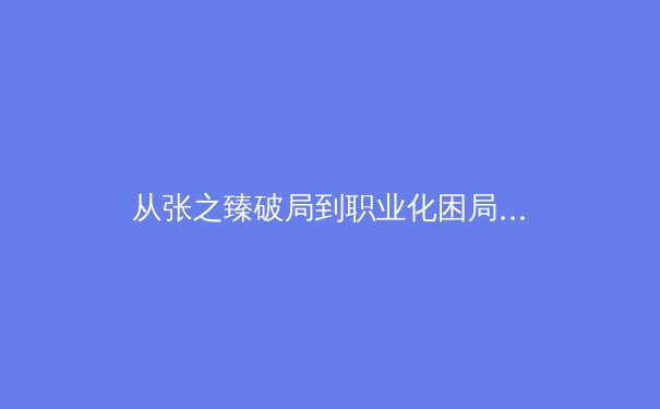 从张之臻破局到职业化困局：中国男子网球进阶之路的深刻镜鉴 - 3